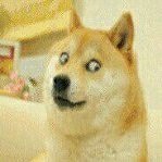 尘埃辅助器下载免费最新版本安装