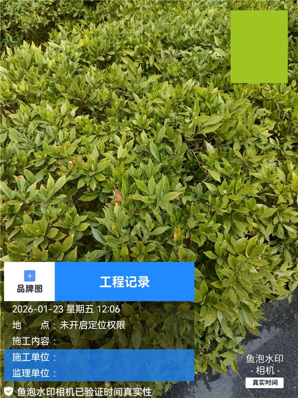 6acb1ef7873c3524fd56bbdab2cdde3e.jpg 5681725dca267326ad27effedd004f89.jpg