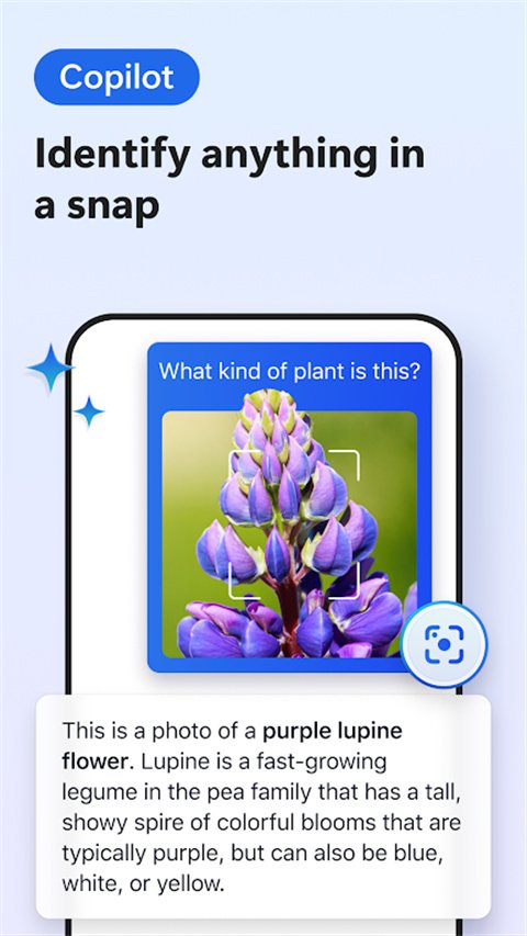 Edge Canary官网安卓版下载