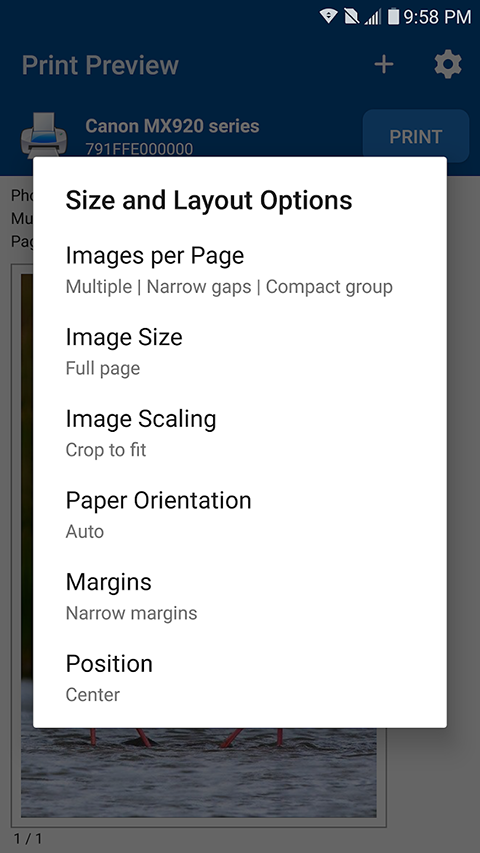 NokoPrint软件手机版下载