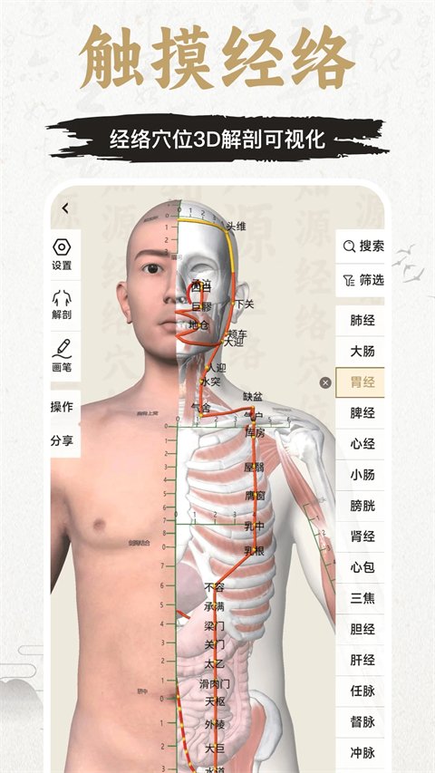知源经络穴位APP官网免费版下载