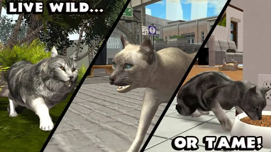 终极猫模拟器下载