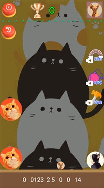 猫咪趣味合成最新版