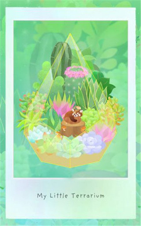 我的水晶花园最新版