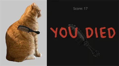 给猫梳毛最新版