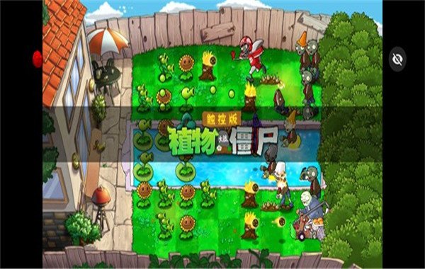 绽放与毁灭最新版