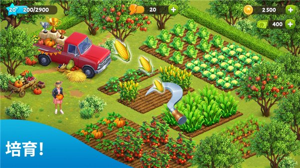 SpringValley最新版