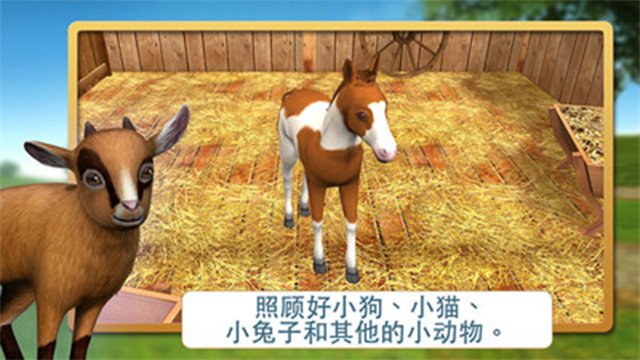 宠物世界3D我的动物救援最新版