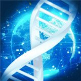 养鲲进化新物种最新版