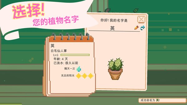 窗口花园最新版