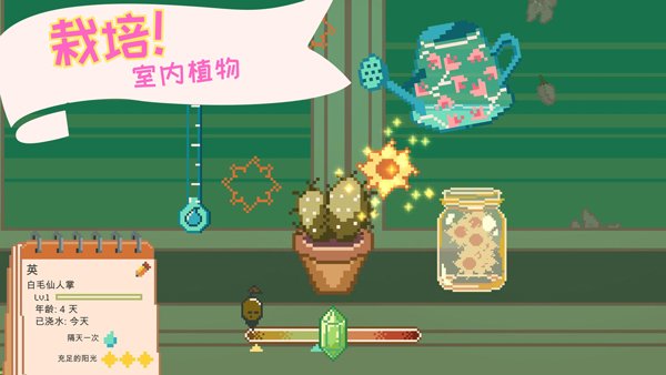 窗口花园最新版