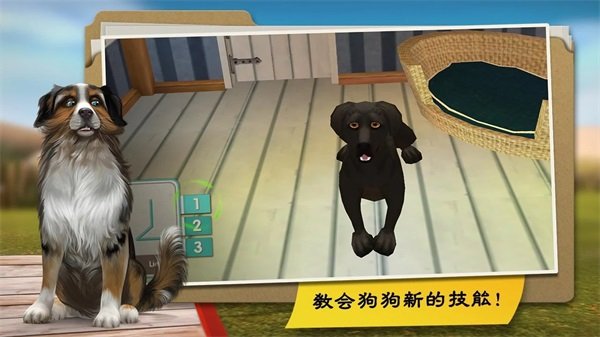 我的寄宿狗屋最新版