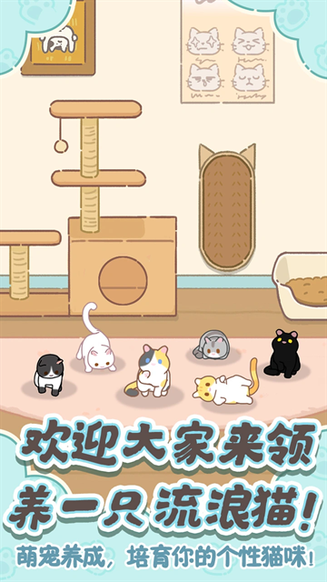 领养一只流浪猫最新版