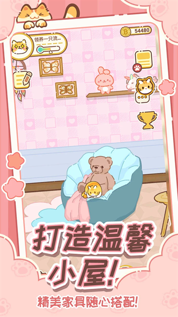 领养一只流浪猫最新版