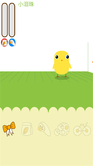养只小黄鸡 Can Your Pet