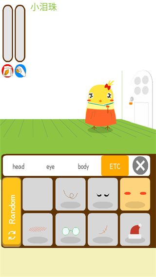 养只小黄鸡 Can Your Pet