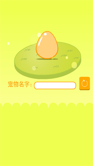 养只小黄鸡 Can Your Pet